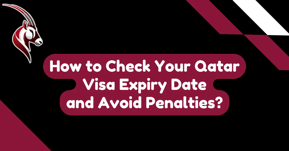 How to Check Your Qatar Visa Expiry Date and Avoid Penalties