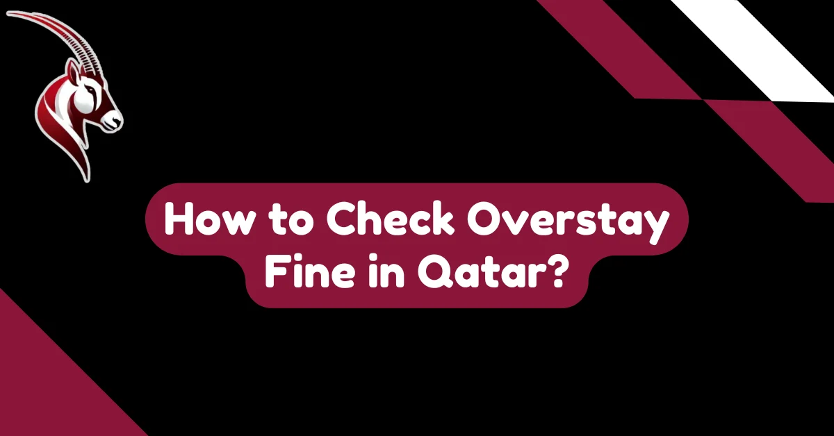 How to Check Overstay Fine in Qatar?